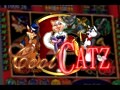 Cool Catz Slot Machine